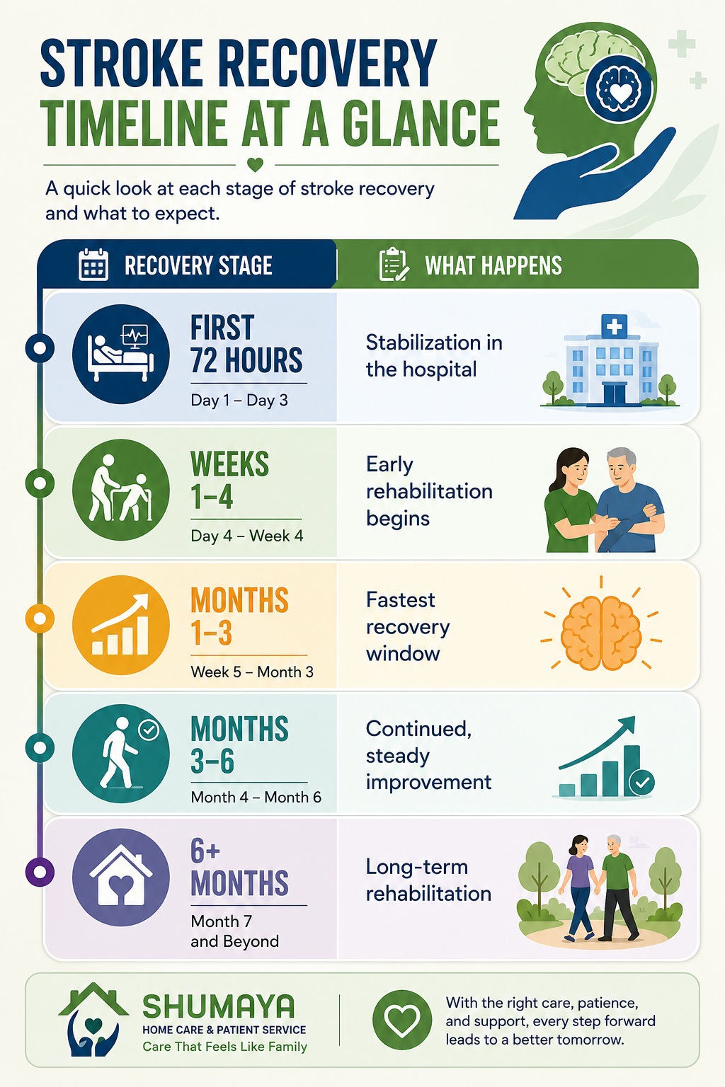 stroke recovery timeline at a glance